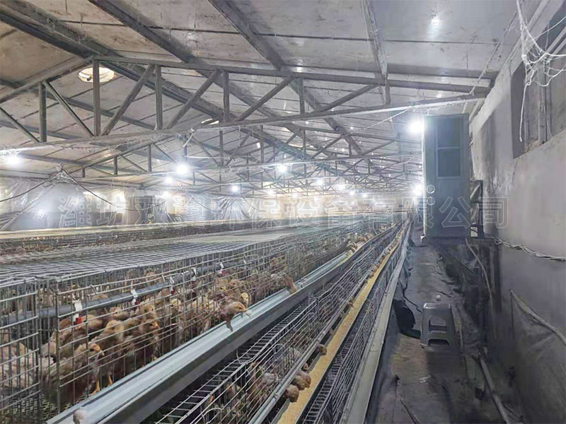 東營養雞廠（chǎng）養（yǎng）殖環境控製機組使用示例